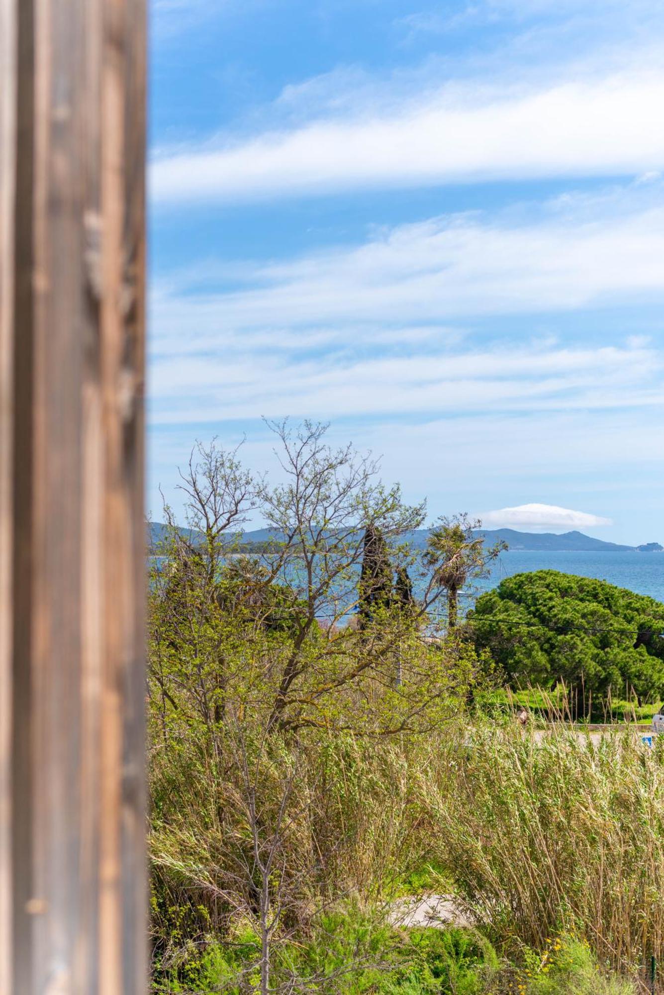 Vue 50m Des Salins Piscine 2 Parkings Terrasse Apartment Hyeres